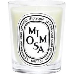 Diptyque Świeca Mimoza 190 g