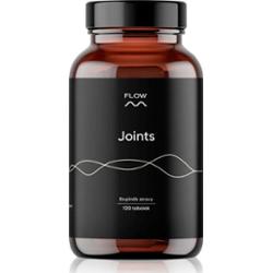 Flow Nutrition Giunti 2.0 120 kapsułek