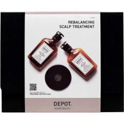 Zestaw Consumer Kit A Depot: 100 Szampon do włosów nr 102, Botanical Complex, Szampon do włosów, przeciwłupieżowy i regulujący sebum, 250 ml + 100 sza