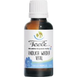 Feele Olejek świstakowy 30 ml