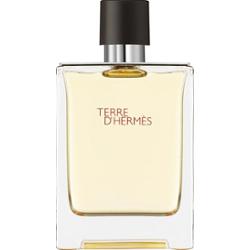 Hermes terre D'Hermes EDT M 100 ml