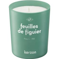 Kerzon Feuilles de Figuier świeca