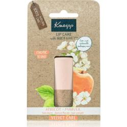 Kneipp Apricot & Marula balsam do ust 4.7 g