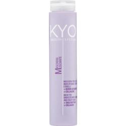 Maska do włosów puszących się KYO Smooth System 250ml