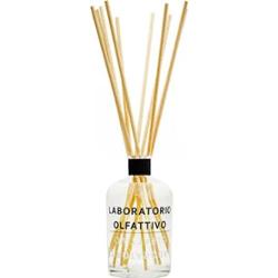 Laboratorio Olfattivo Dyfuzor Biancotalco 3000 ml