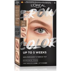 L'Oréal Semi-Trwała Koloryzacja Brwi 7.0 - Ciemny Blond