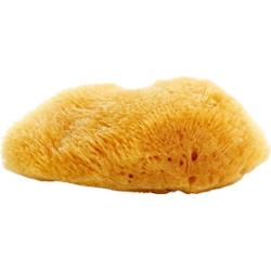 Magnum Naturalna Karaibska Gąbka Morska 10-12 cm