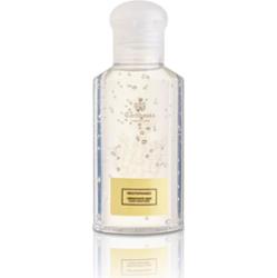 Carthusia Żel do dezynfekcji rąk do torebek 100ml