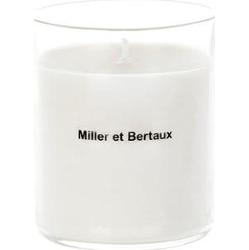 Miller et Bertaux W Świecy Świątynnej