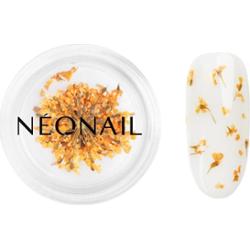 NEONAIL Suszone kwiaty suszony kwiat na paznokcie kolor pomarańczowy