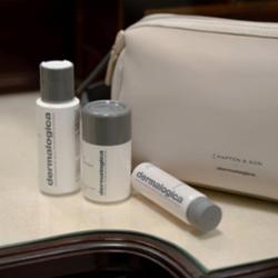 Dermalogica, torba materiałowa
