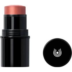 Dr. Hauschka Od ust do policzka,Blush w sztyfcie do policzków, ust i oczu 01 morela (6,10 g)