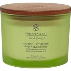 Chesapeake bay candle Świeca Awaken & Invigorate (Trzy knoty) - 312.0 g