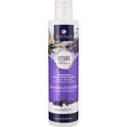Alkemilla eco bio cosmetic Szampon Lawenda i Eukaliptus 250 ml