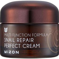 Mizon Krem do twarzy z 60% filtrowaną wydzieliną ślimaka do skóry problematycznej (Snail Repair Perfect Cream) 50 ml