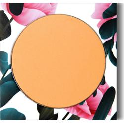 Phb ethical beauty Kompaktowy podkład mineralny Tan (16 g)
