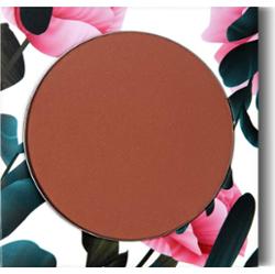 Phb ethical beauty Kompaktowy podkład mineralny Cocoa (16 g)