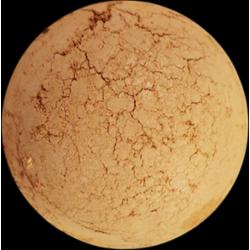 Angel minerals Podkład Angel Touch Minisize Sun Special (2 g)