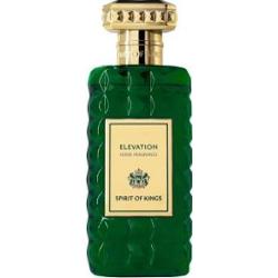 Spirit of kings Elevation Spray zapach do domu 250 ml