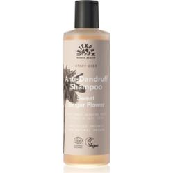 Urtekram Szampon przeciwłupieżowy nawilżający Sweet Ginger Flower z aloesem i ekstraktami z imbiru 250 ml
