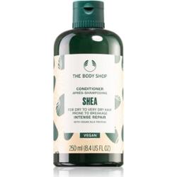 The Body Shop Shea Conditioner odżywka do włosów suchych i łamliwych 250 ml