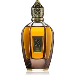 Xerjoff Aqua Regia czyste perfumy unisex 100 ml