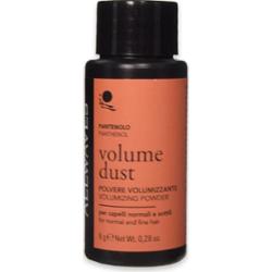 Allwaves Volume Powder 8 gram