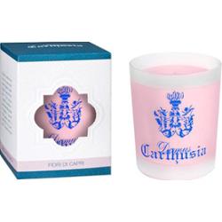 Carthusia Kwiaty pachnące pachnące kasę ylang ylang 70gr