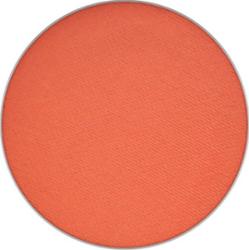 MAC Pro Palette Refill Eyeshadow Matte Red Brick