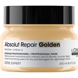 L'Oréal Professionnel Absolut Repair Serie Expert Professional Mask Go