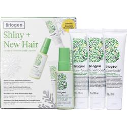 Briogeo Superfoods Shiny + New Kit