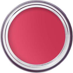 Bobbi Brown Pot Rouge Velvet Matte Guava Punsch 41