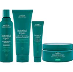 Botanical Repair Rich Kit