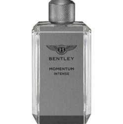 Bentley Momentum Intense