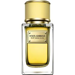 Dolce & Gabbana Velvet Mimosa Bloom